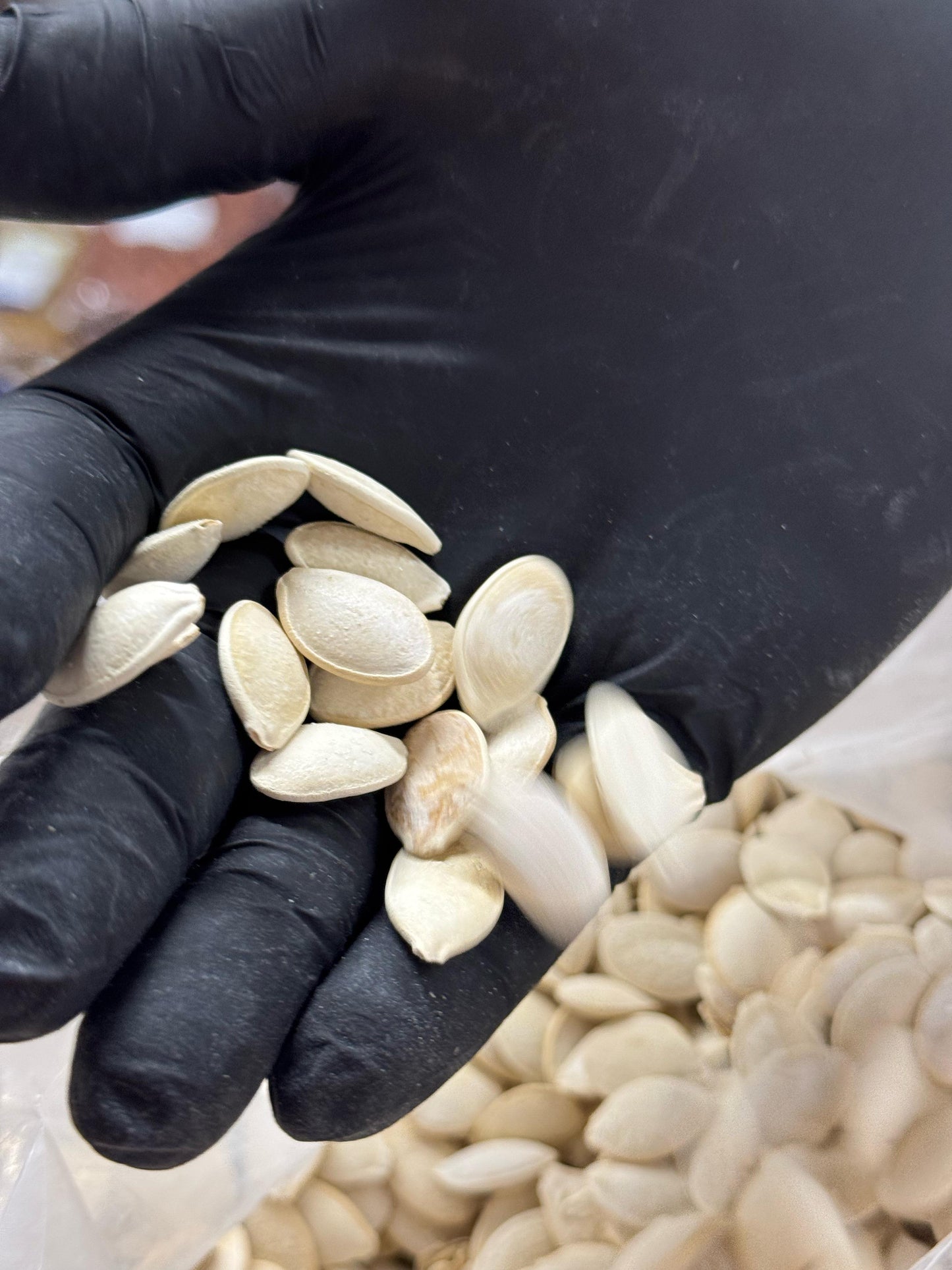 Roasted & Salted Melon Seeds