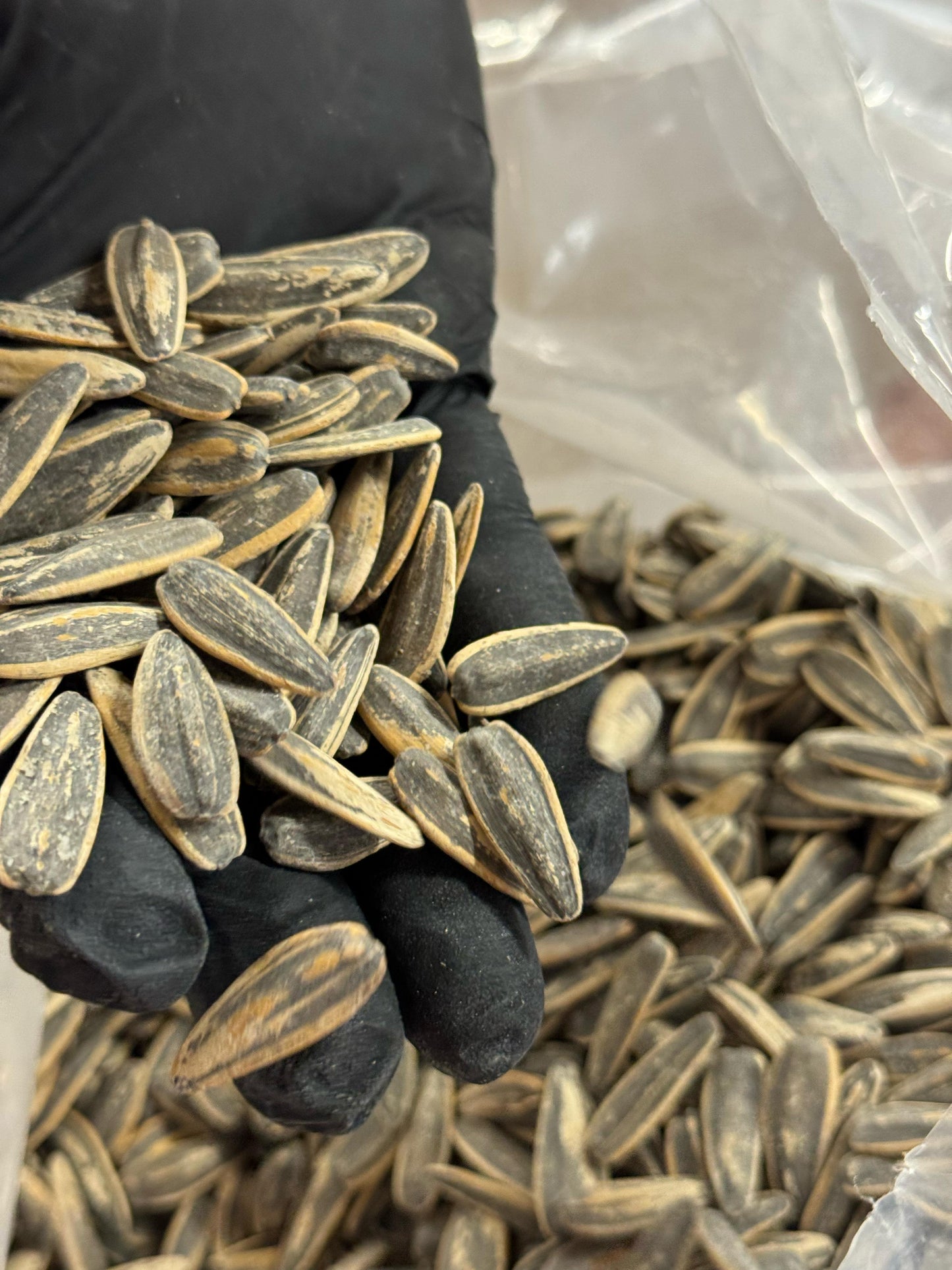 Roasted & Salted Sunflower Seeds (With Shell)