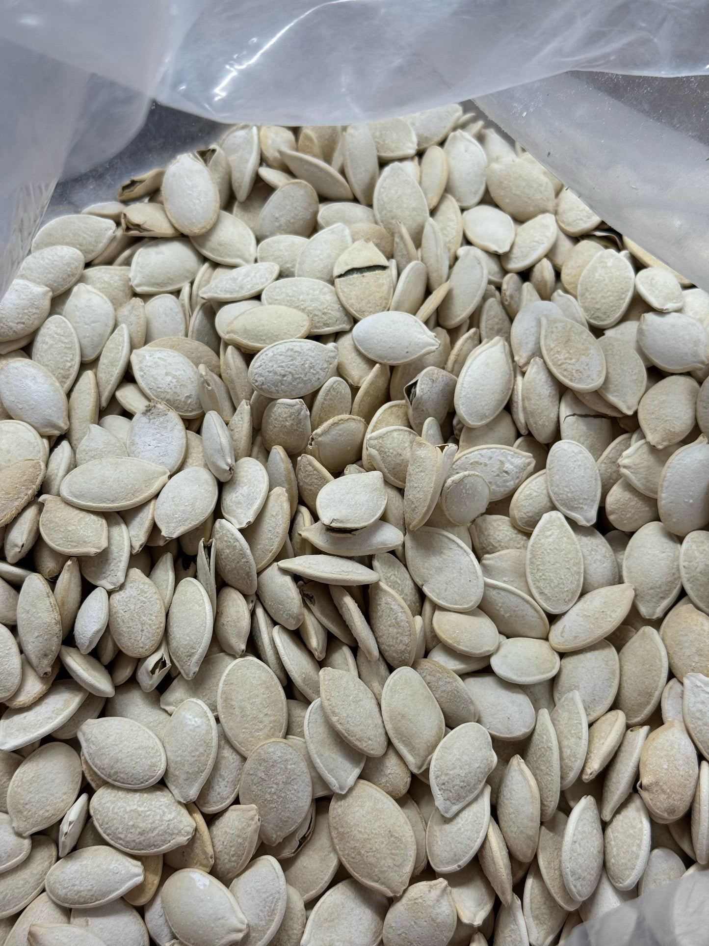 Roasted & Salted Melon Seeds