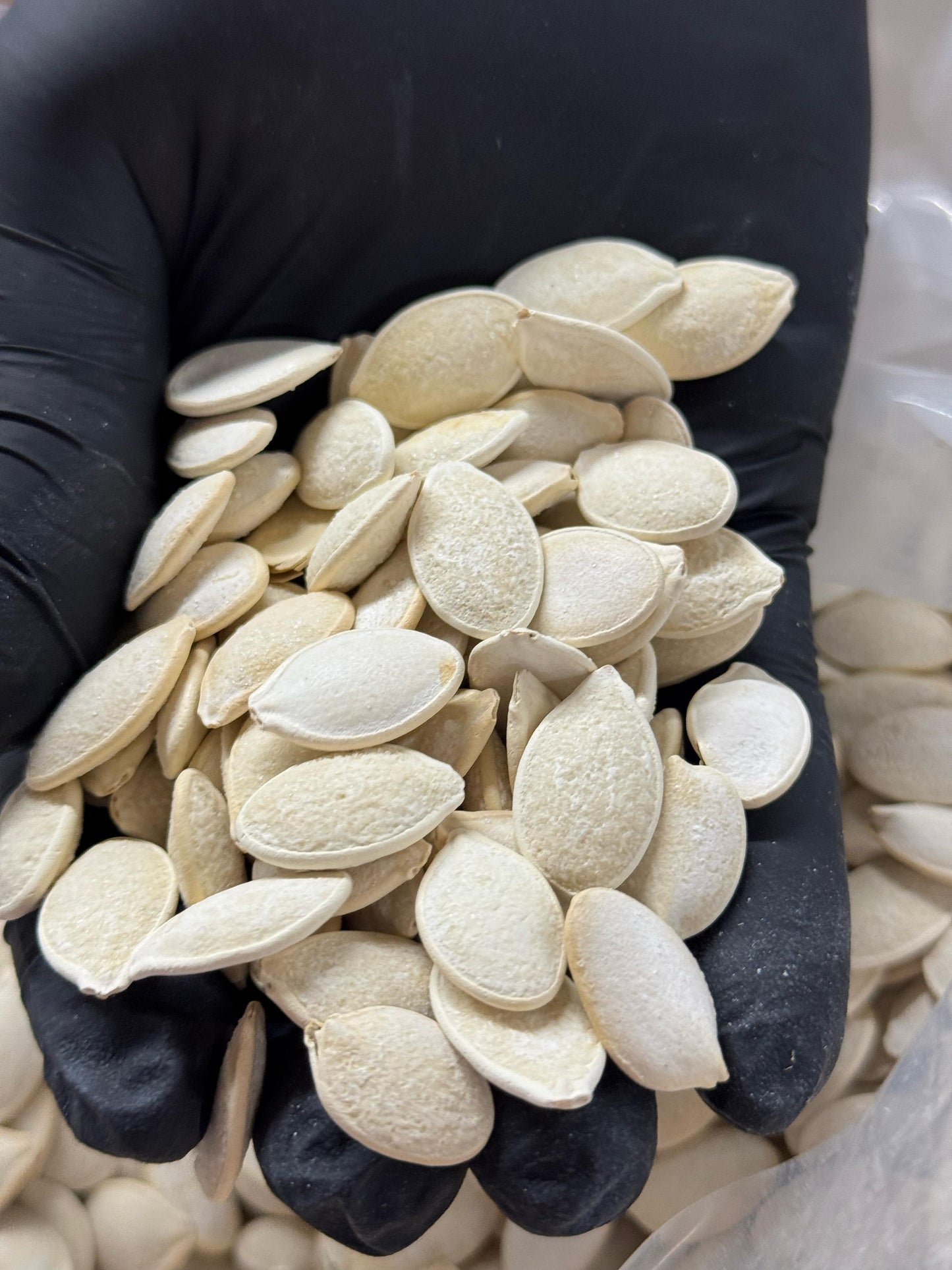 Roasted & Salted Melon Seeds