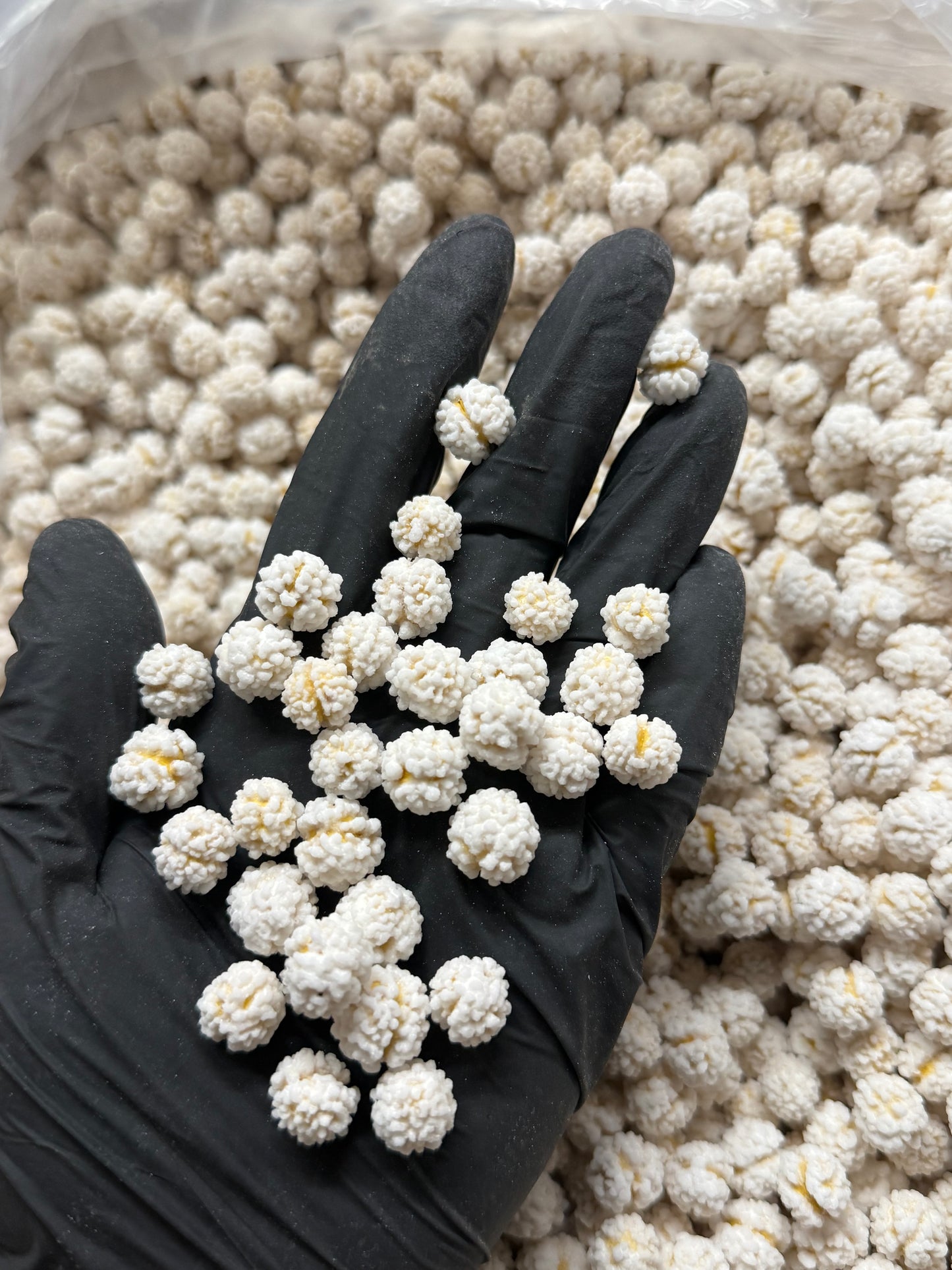 Sugar Coated Chickpeas - Crispy Snack for a Sweet Treat