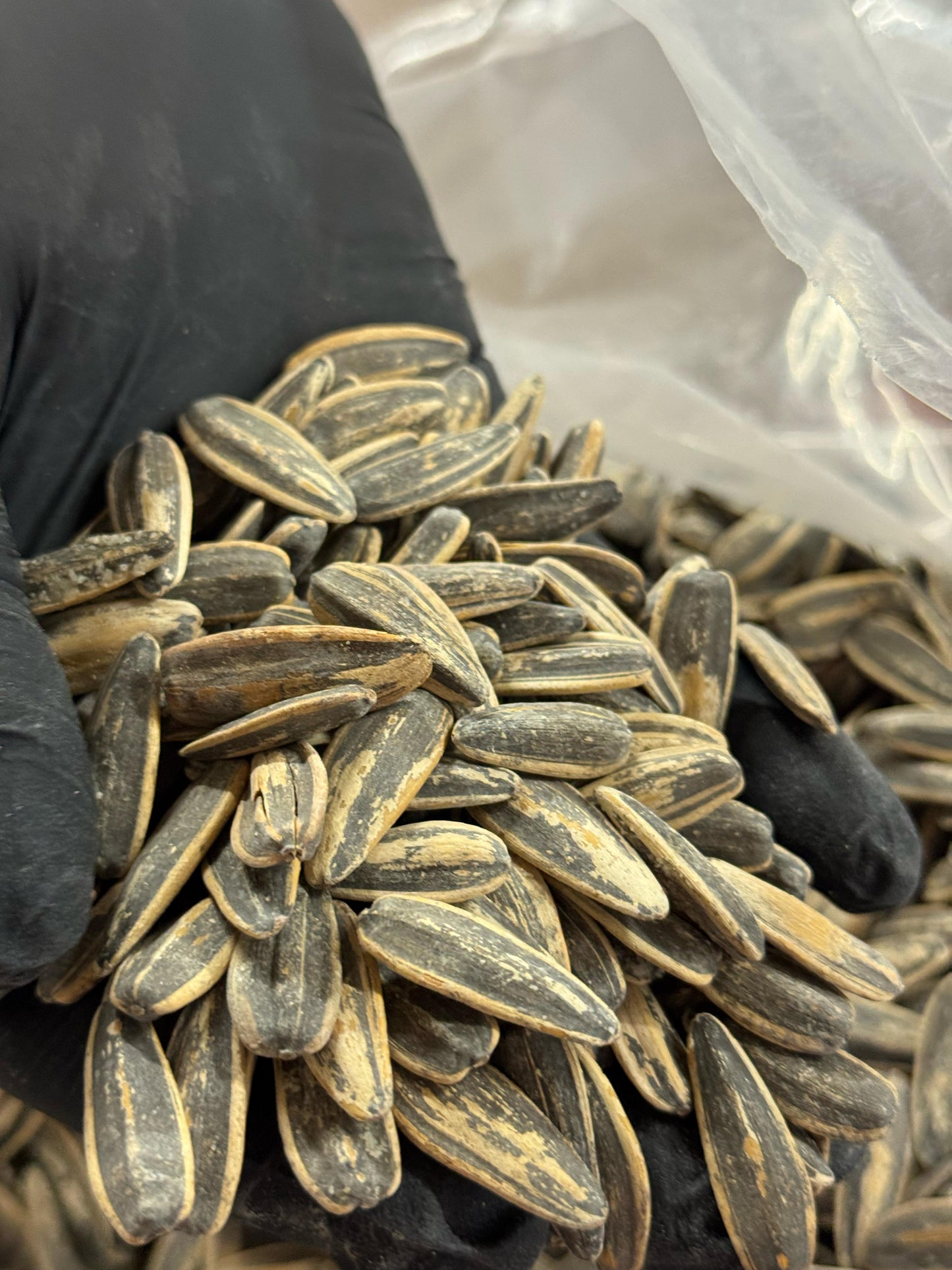 Roasted & Salted Sunflower Seeds (With Shell)