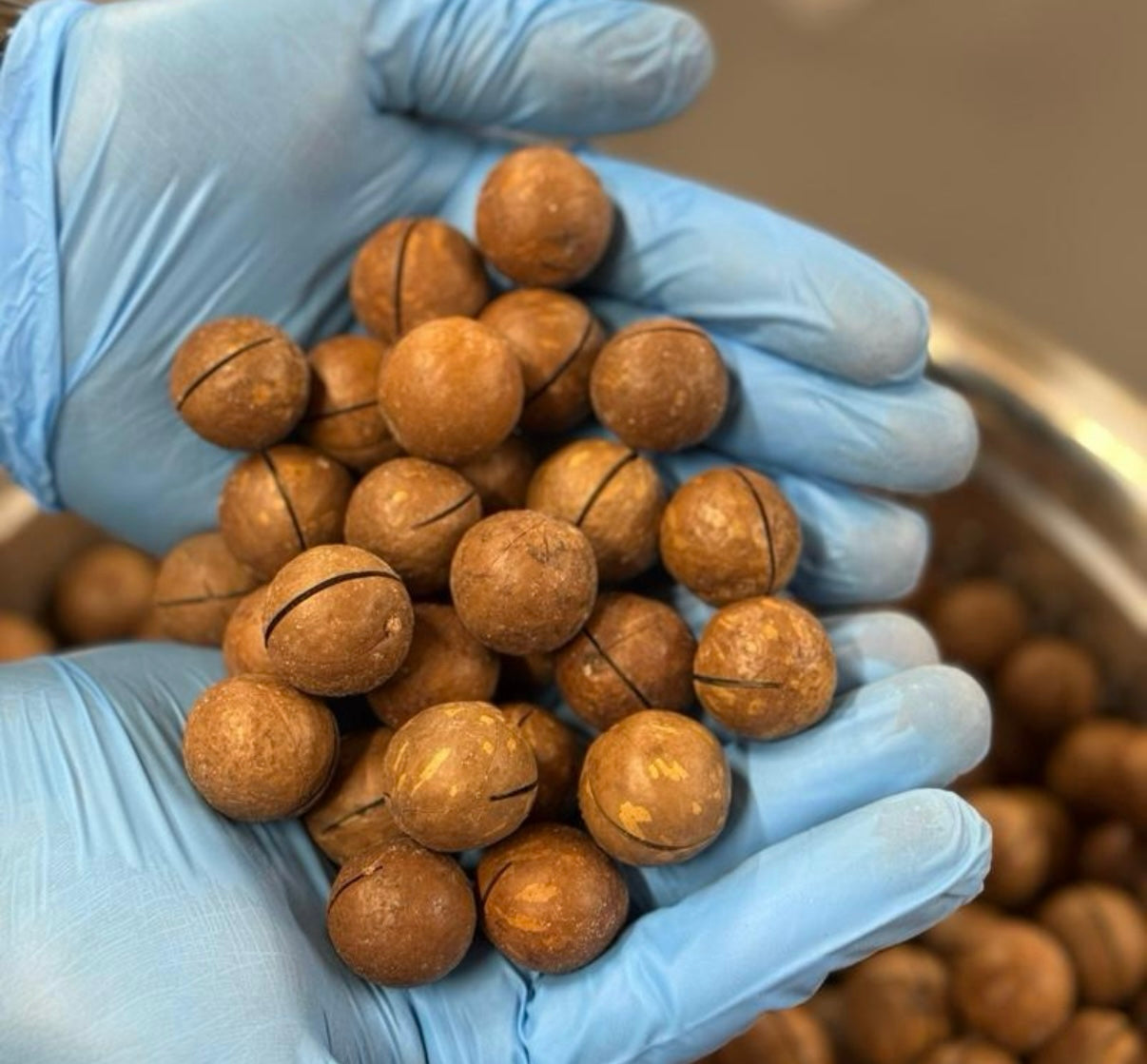 Macadamia nuts Snack dried Nuts Dry with key opener