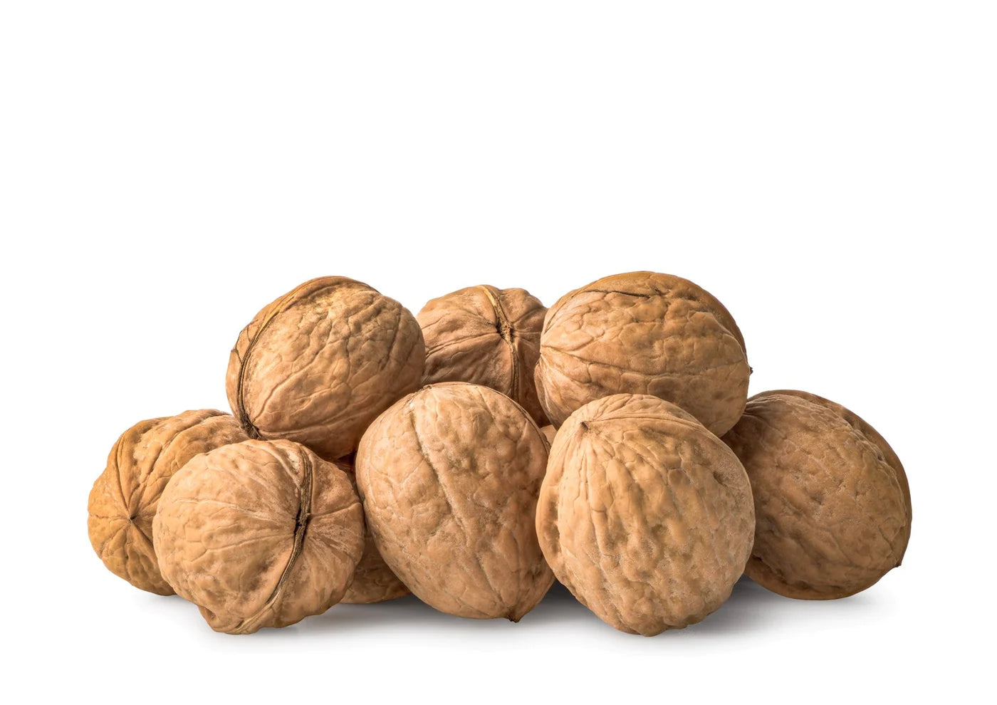 Walnuts in Shell - Pak Watan Dried Fruits Ltd.