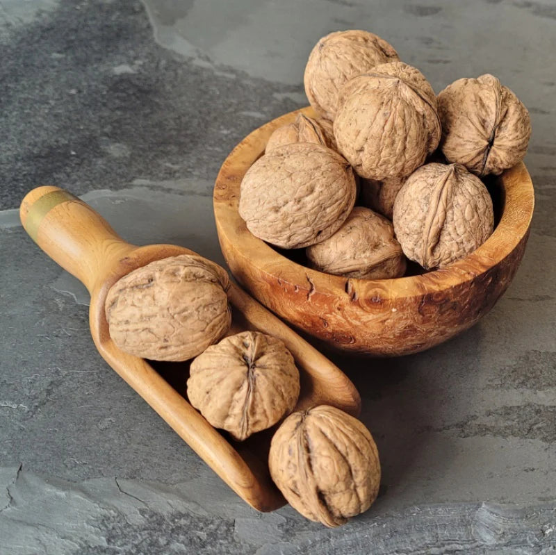 Walnuts in Shell - Pak Watan Dried Fruits Ltd.