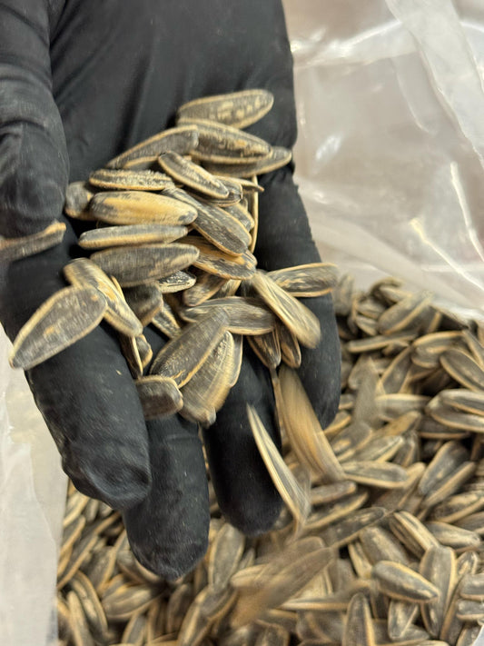 Roasted & Salted Sunflower Seeds (With Shell)
