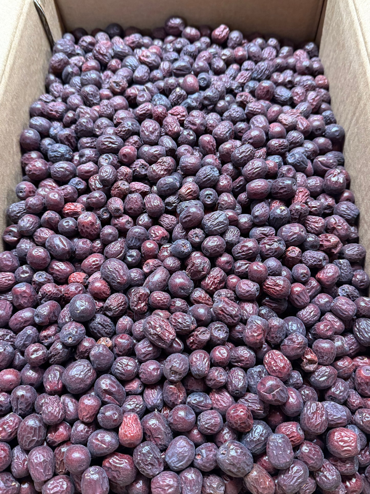 Afghani Small Size Jujube (Unaab) Crunchy & Crispy
