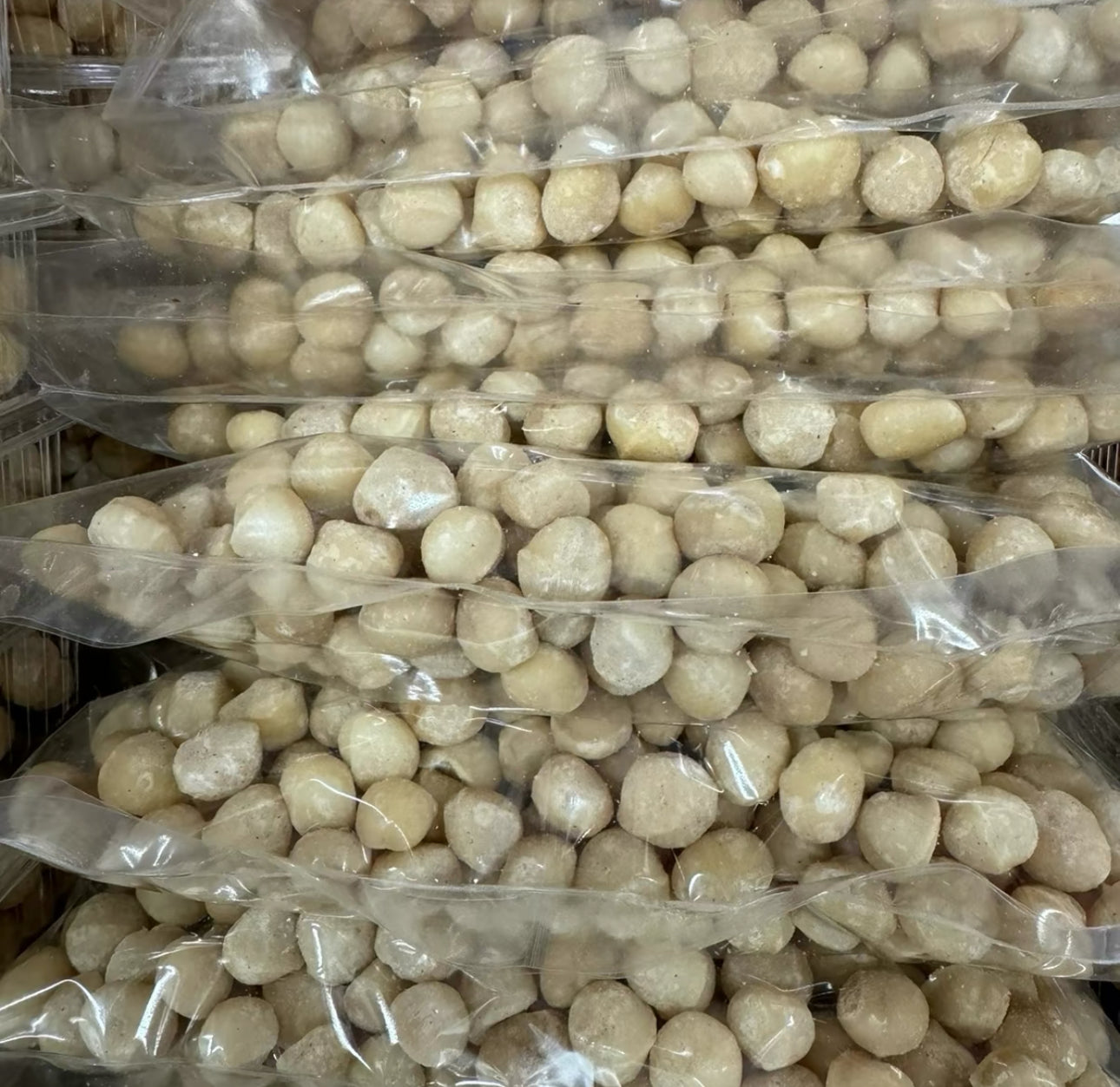 Macadamia Nuts