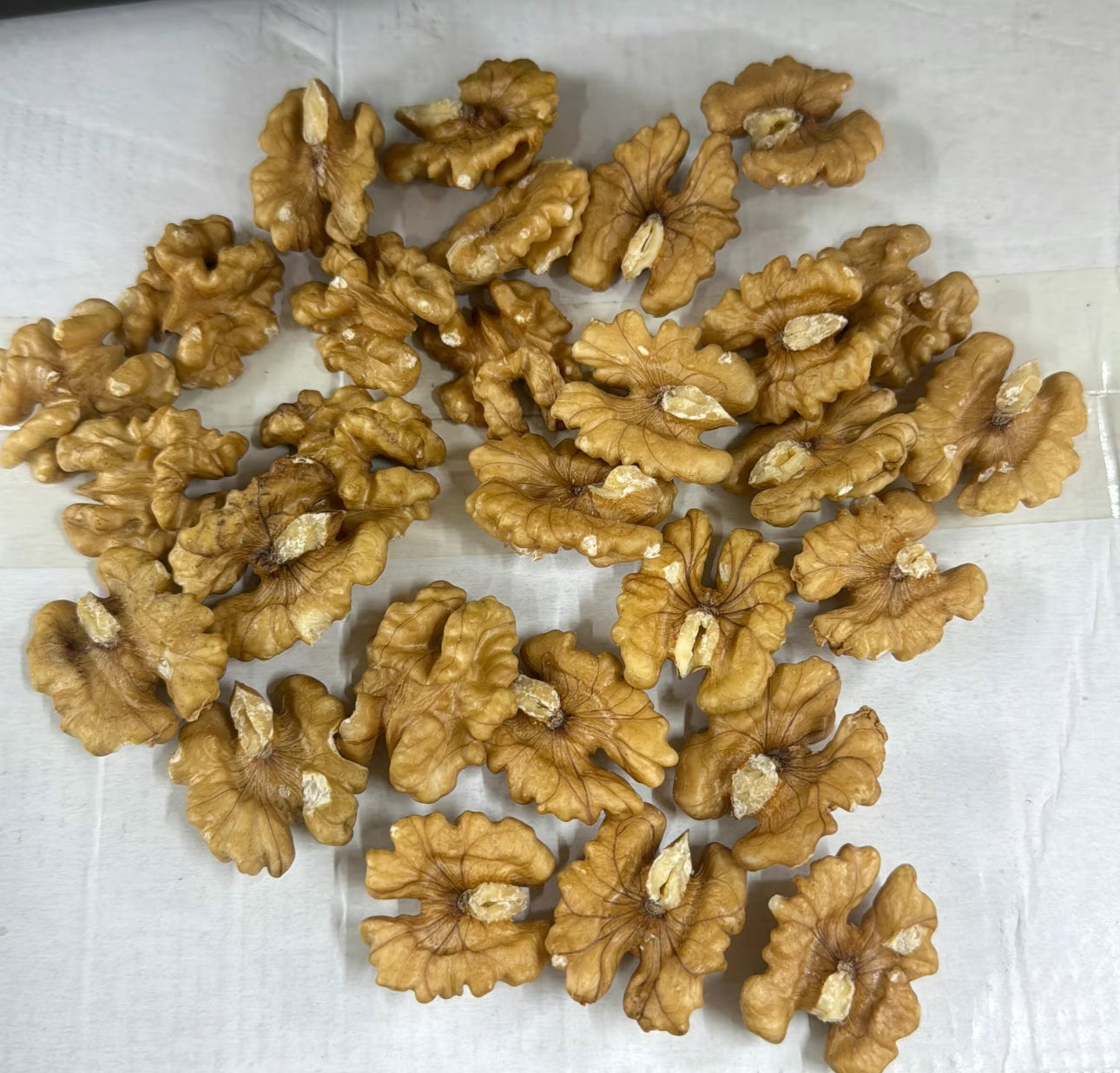 Walnuts- Hand Cracked - Aghuz - Pak Watan Dried Fruits Ltd.