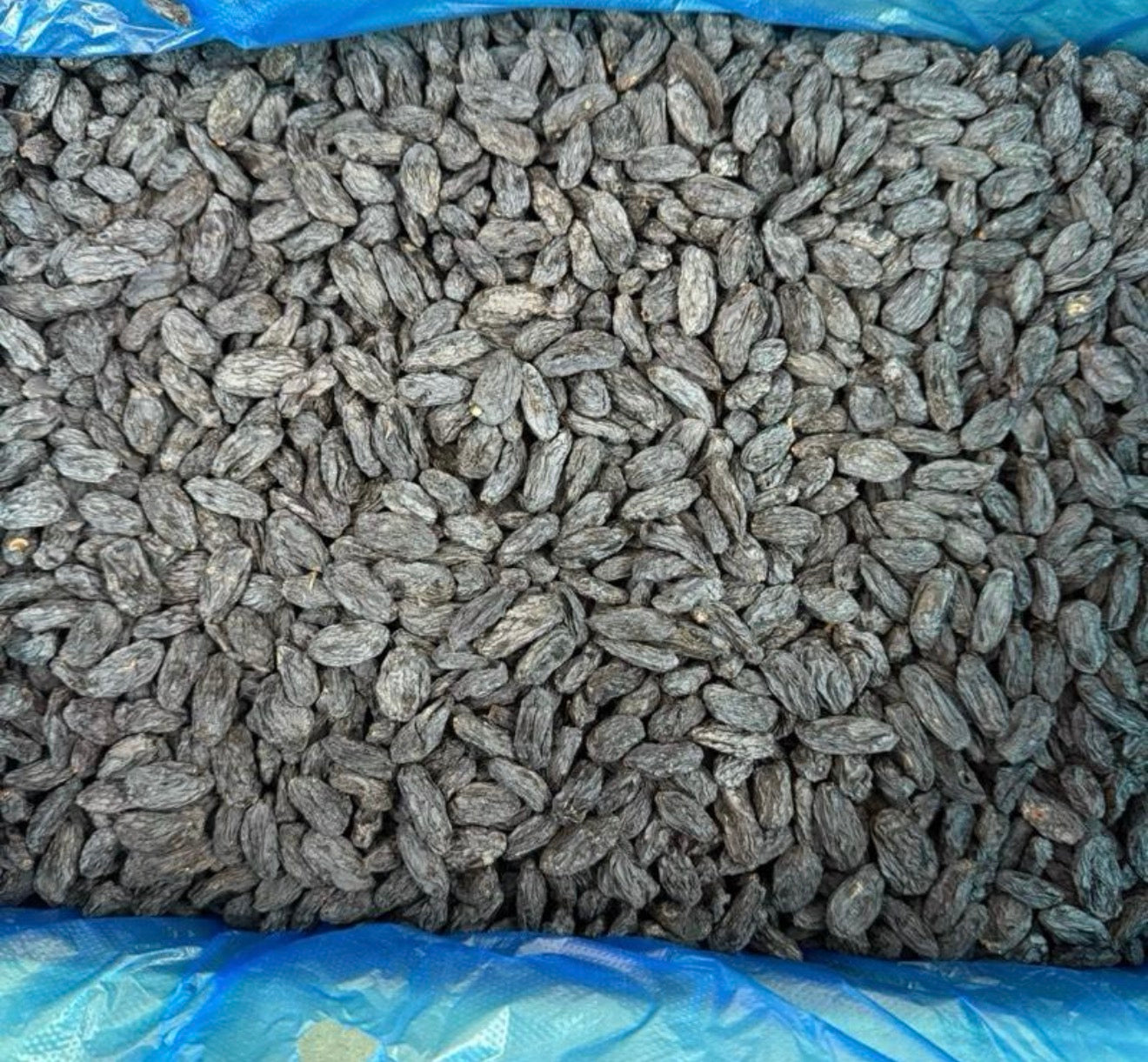 jumbo size black raisins without seeds