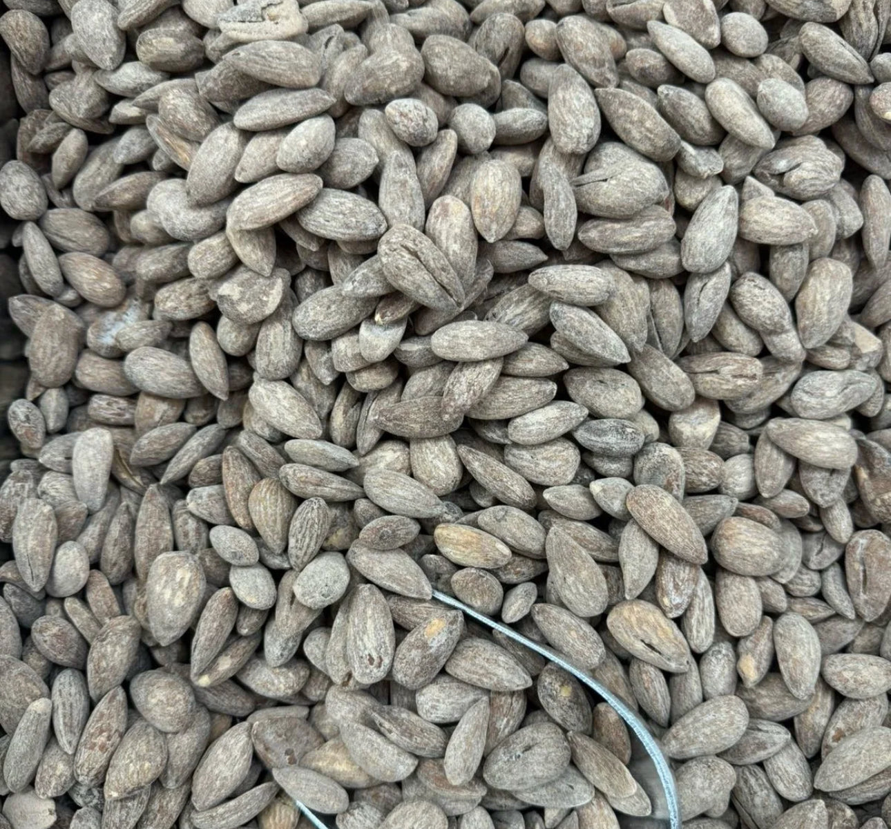 Roasted Almonds- Salted & Roasted Almonds