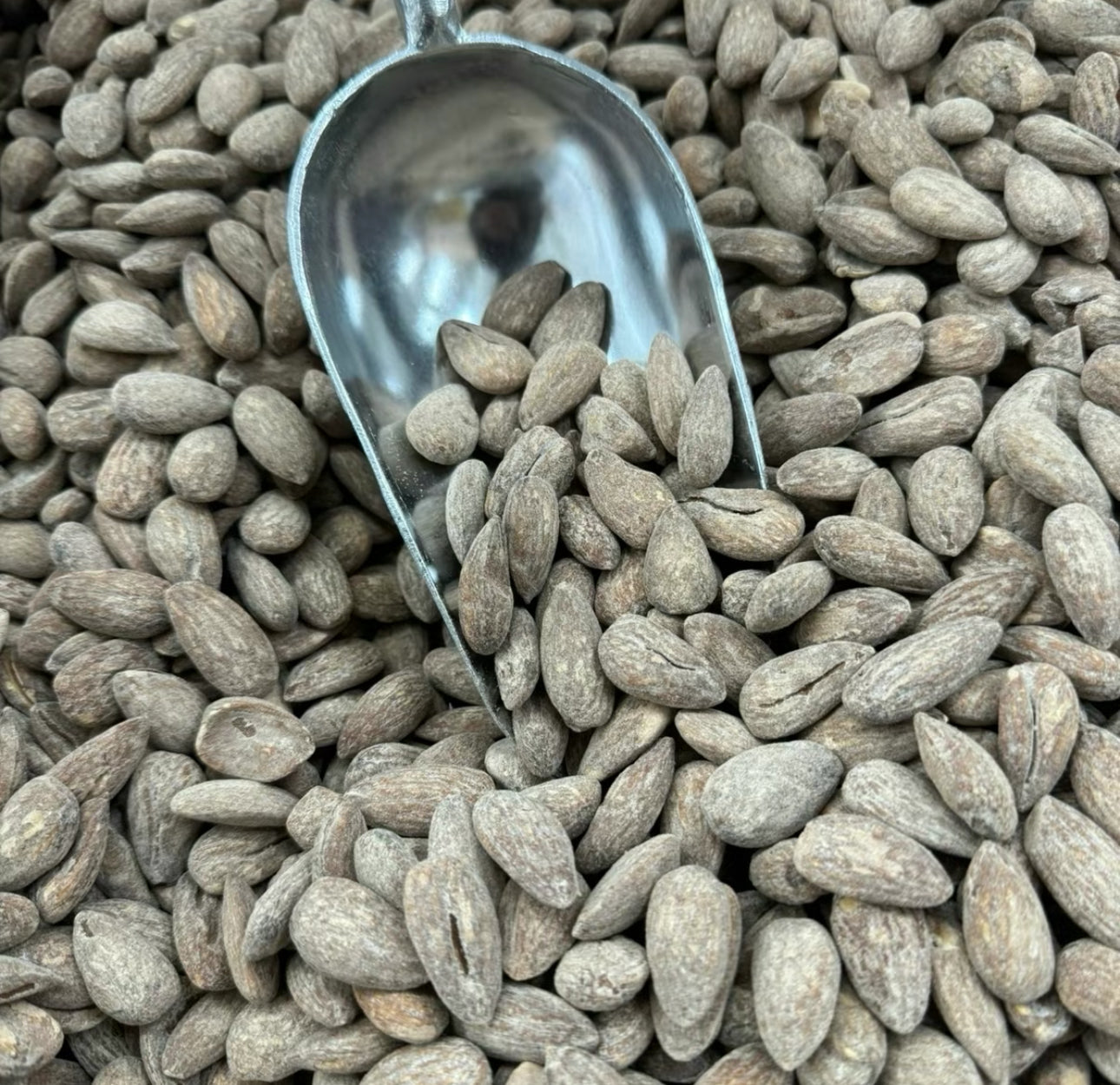 Roasted Almonds- Salted & Roasted Almonds