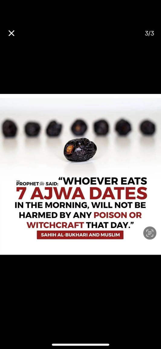 Ajwa Dates (450g) - Pak Watan Dried Fruits Ltd.