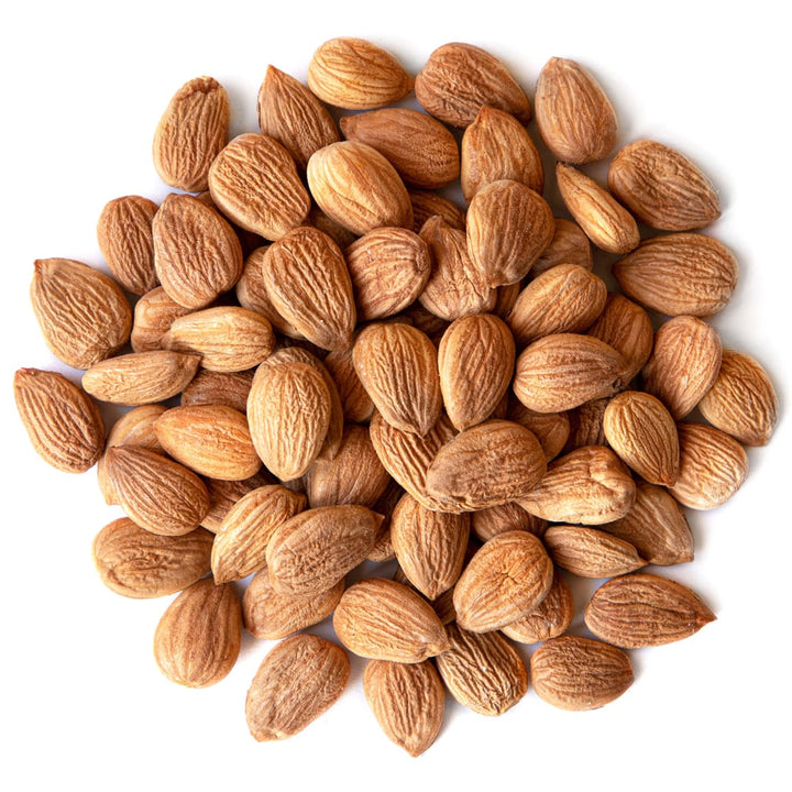 Apricot Seeds Kernels - Pak Watan Dried Fruits Ltd.