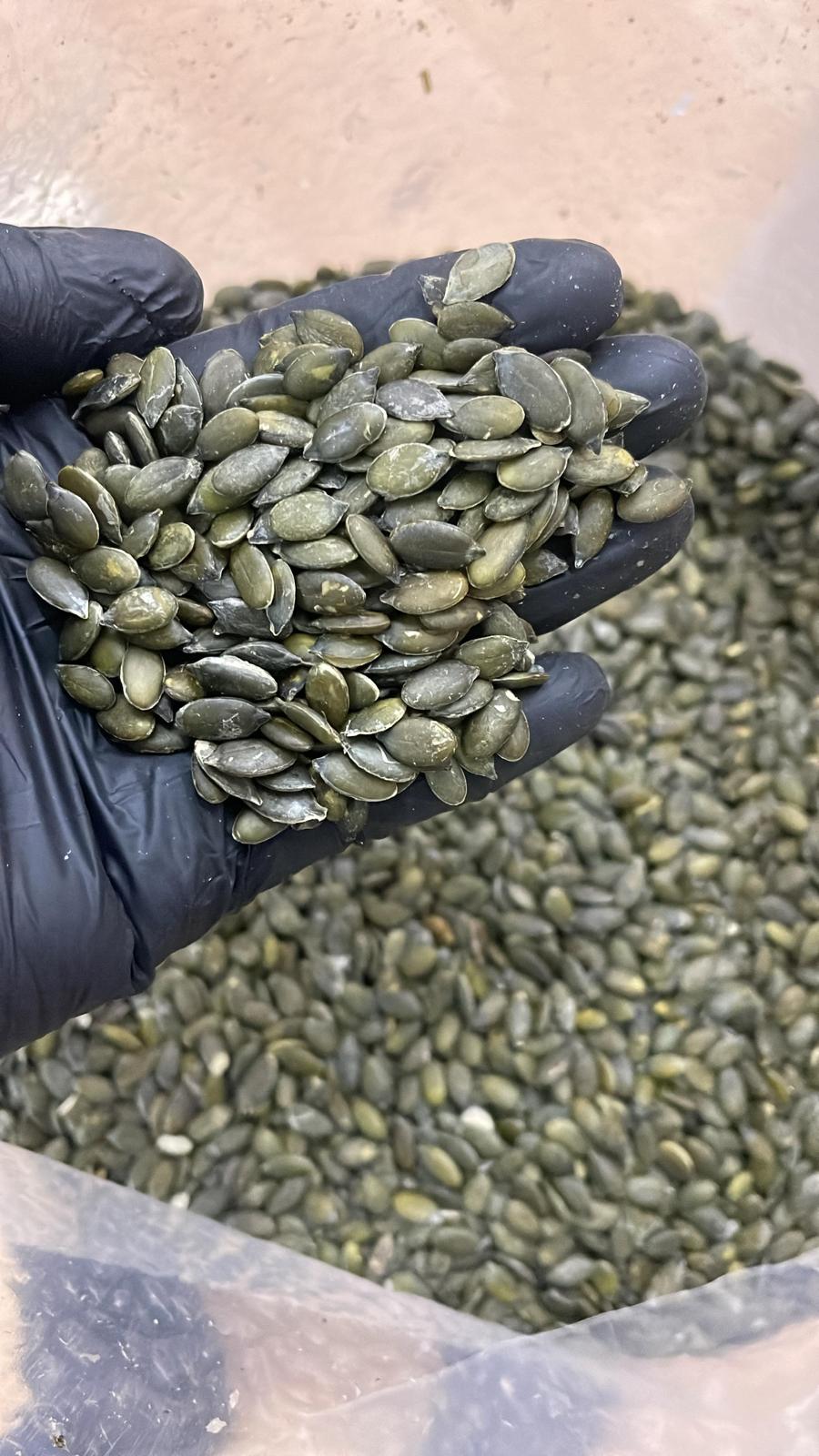 Premium Sunflower & Pumpkin Kernels (500g)