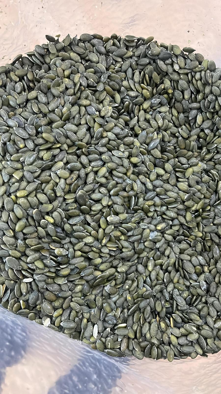 Premium Sunflower & Pumpkin Kernels (500g)