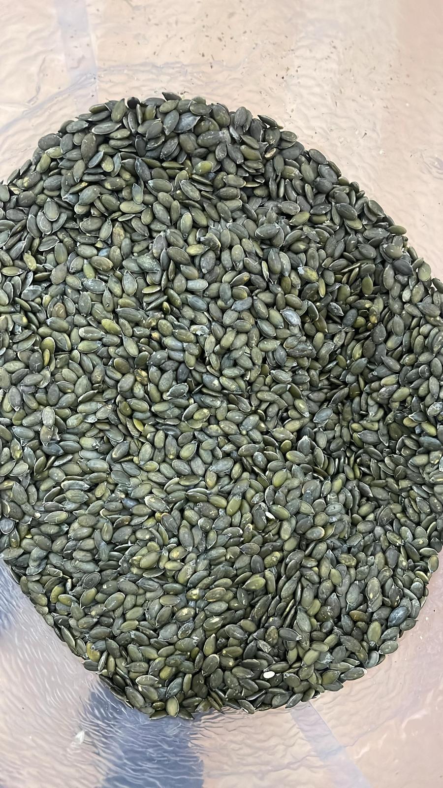 Premium Sunflower & Pumpkin Kernels (500g)