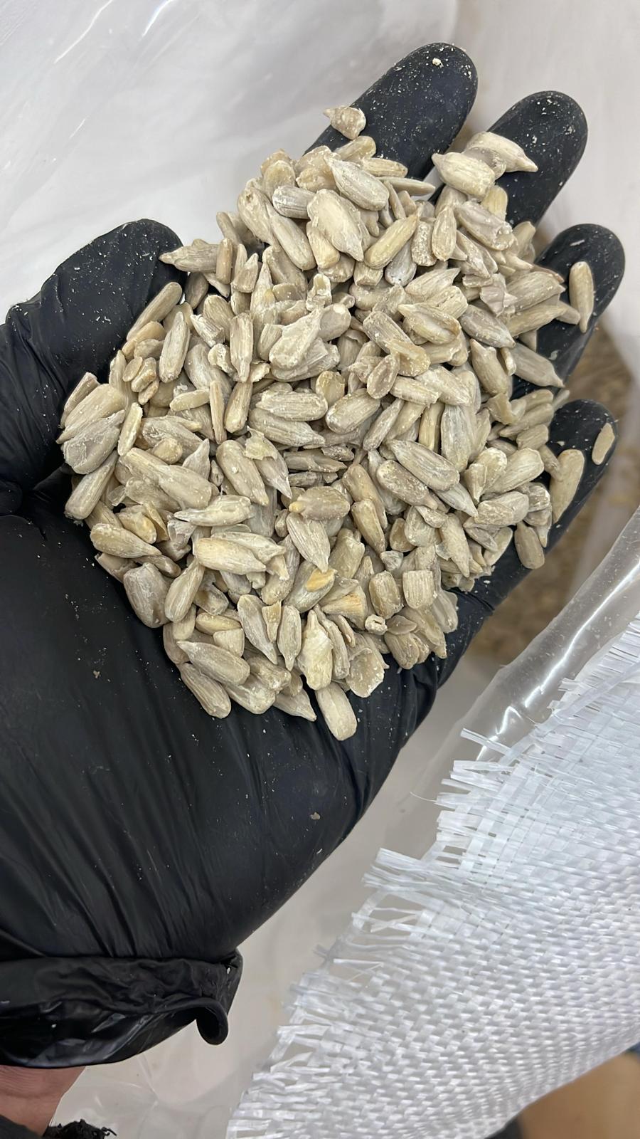 Premium Sunflower & Pumpkin Kernels (500g)