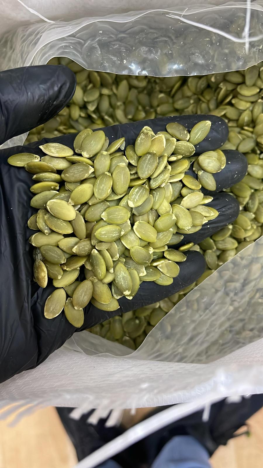 Premium Sunflower & Pumpkin Kernels (500g)